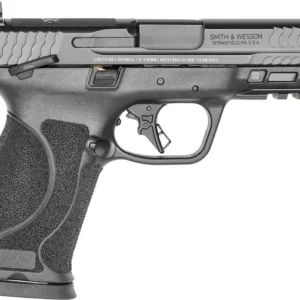 Smith & Wesson M&P 10mm M2.0 Semi